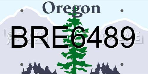 BRE6489 Oregon License Plate