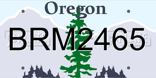 BRM2465 Oregon License Plate
