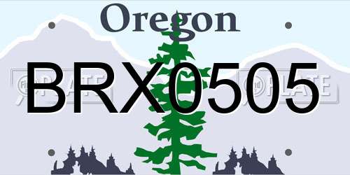 BRX0505 Oregon License Plate