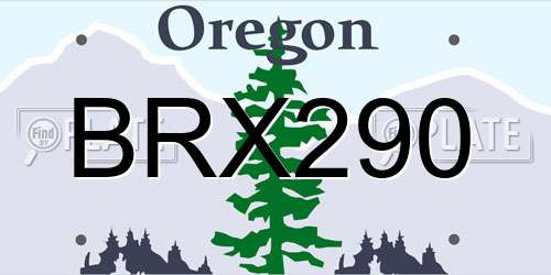 BRX290 Oregon License Plate