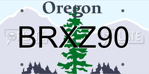 BRXZ90 Oregon License Plate