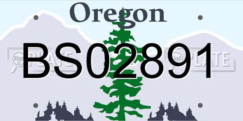 BS02891 Oregon License Plate