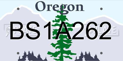 BS1A262 Oregon License Plate