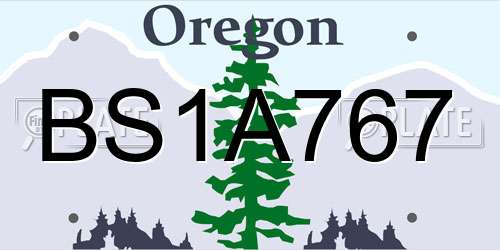 BS1A767 Oregon License Plate