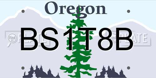 BS1T8B Oregon License Plate