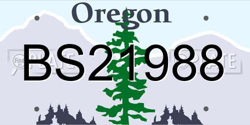 BS21988 Oregon License Plate