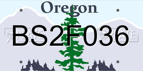 BS2F036 Oregon License Plate