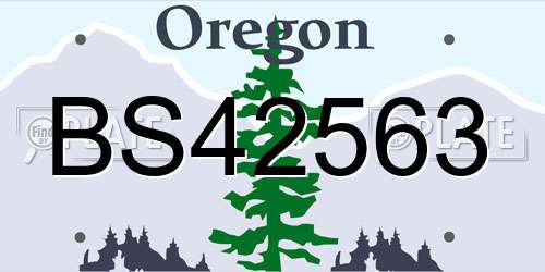 BS42563 Oregon License Plate