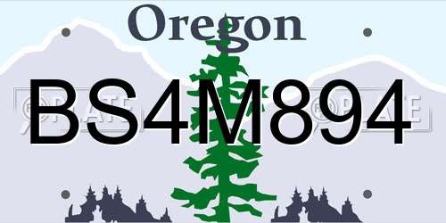 BS4M894 Oregon License Plate