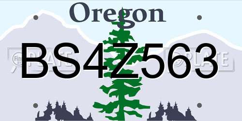 BS4Z563 Oregon License Plate