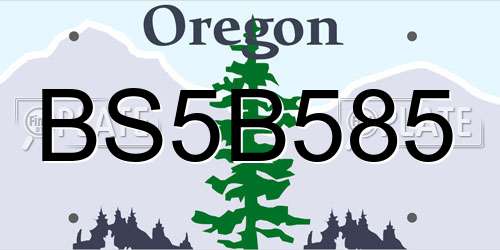 BS5B585 Oregon License Plate