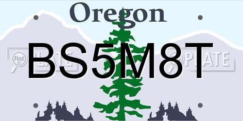 BS5M8T Oregon License Plate