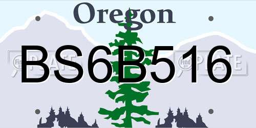BS6B516 Oregon License Plate