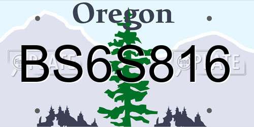 BS6S816 Oregon License Plate
