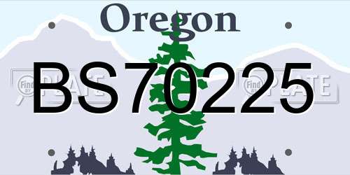BS70225 Oregon License Plate