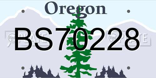 BS70228 Oregon License Plate