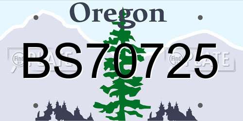 BS70725 Oregon License Plate