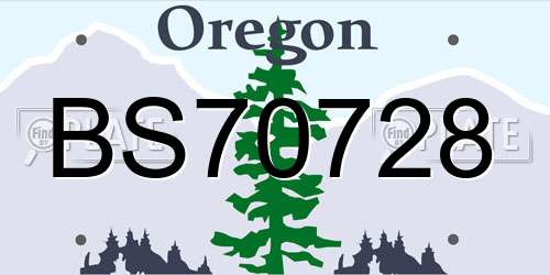 BS70728 Oregon License Plate