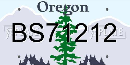 BS71212 Oregon License Plate