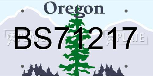 BS71217 Oregon License Plate