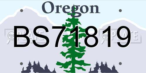 BS71819 Oregon License Plate