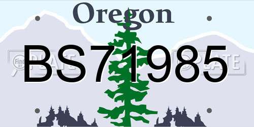 BS71985 Oregon License Plate