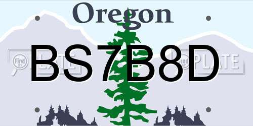 BS7B8D Oregon License Plate