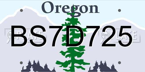 BS7D725 Oregon License Plate