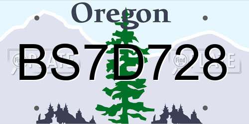 BS7D728 Oregon License Plate