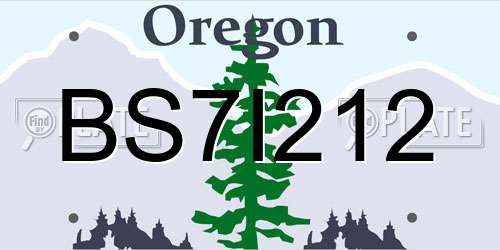BS7I212 Oregon License Plate