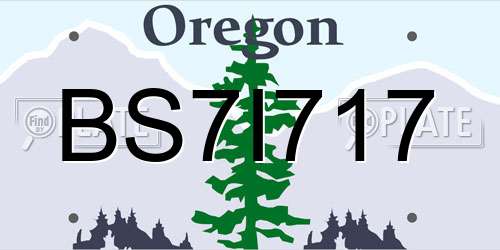 BS7I717 Oregon License Plate