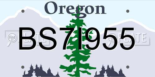 BS7I955 Oregon License Plate