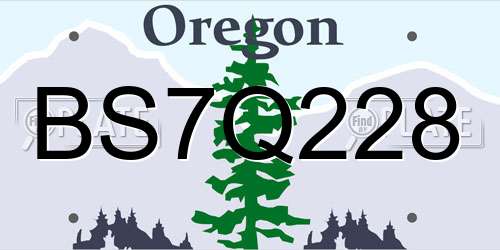 BS7Q228 Oregon License Plate