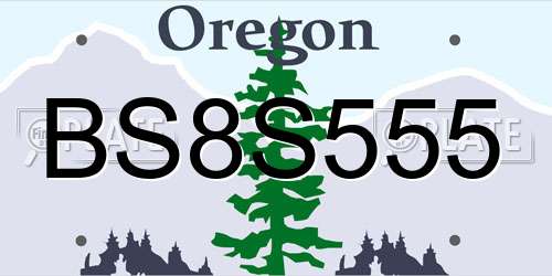 BS8S555 Oregon License Plate