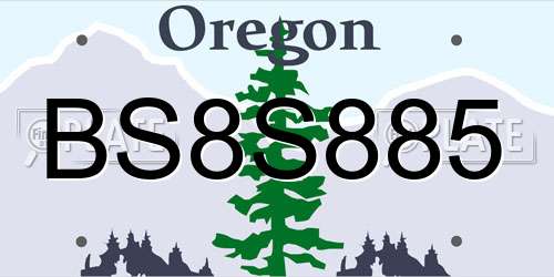 BS8S885 Oregon License Plate