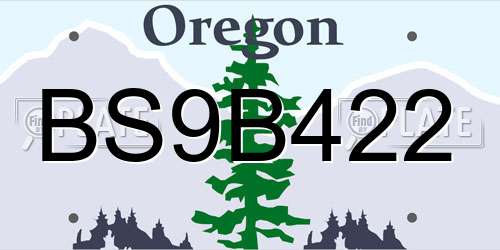 BS9B422 Oregon License Plate