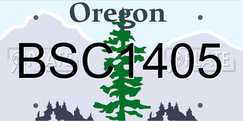 BSC1405 Oregon License Plate