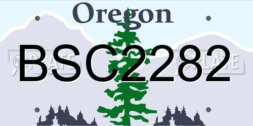 BSC2282 Oregon License Plate