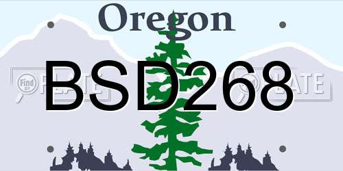 BSD268 Oregon License Plate