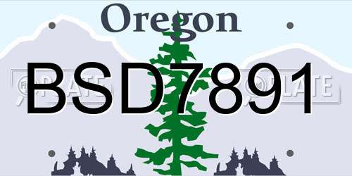 BSD7891 Oregon License Plate