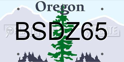 BSDZ65 Oregon License Plate