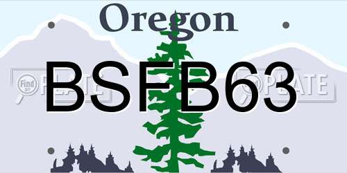 BSFB63 Oregon License Plate