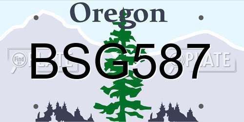 BSG587 Oregon License Plate