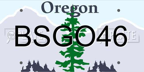 BSGO46 Oregon License Plate