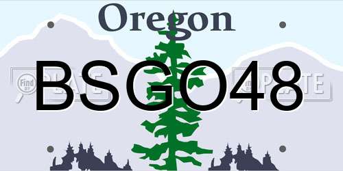 BSGO48 Oregon License Plate