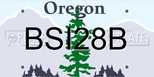BSI28B Oregon License Plate