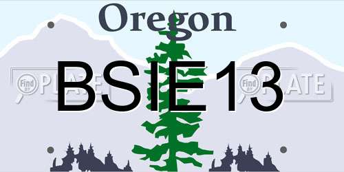 BSIE13 Oregon License Plate