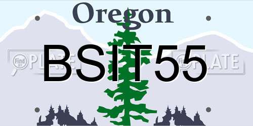 BSIT55 Oregon License Plate