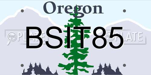 BSIT85 Oregon License Plate