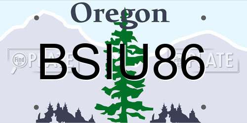 BSIU86 Oregon License Plate